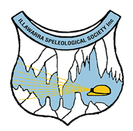 ISS Logo
