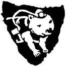 NC Logo